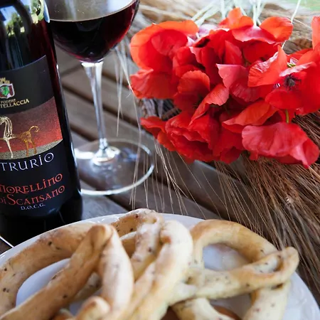 La Pergola Lantgård Diaccialone