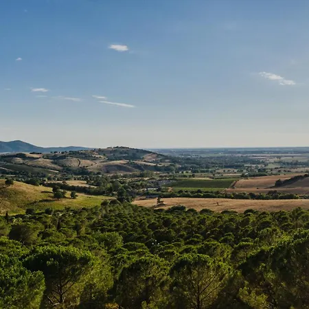 La Pergola * Diaccialone